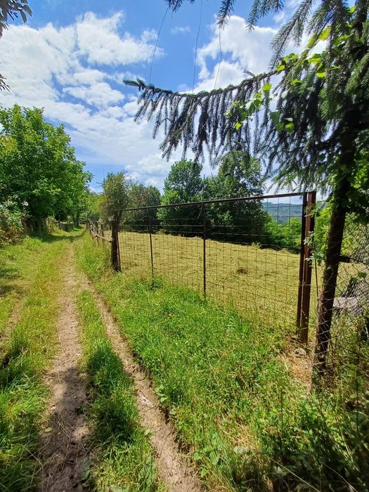 Teren de vânzare intravilan