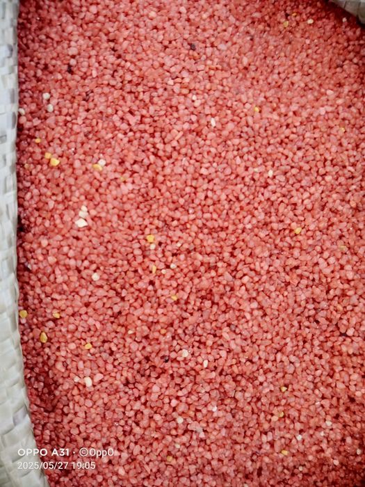 Продам крошка ...