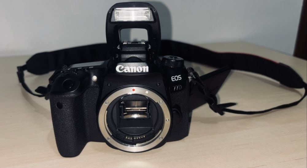 Kit complet Canon 77D + Sigma 18-300mm + Canon 50mm + YONGNUO YN685