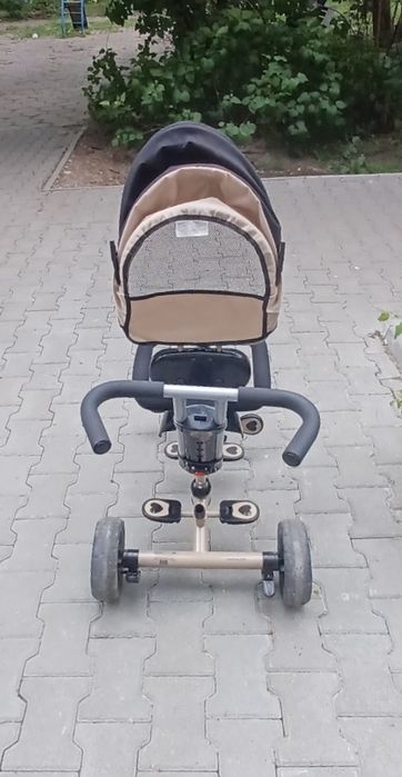 Chipolino триколка