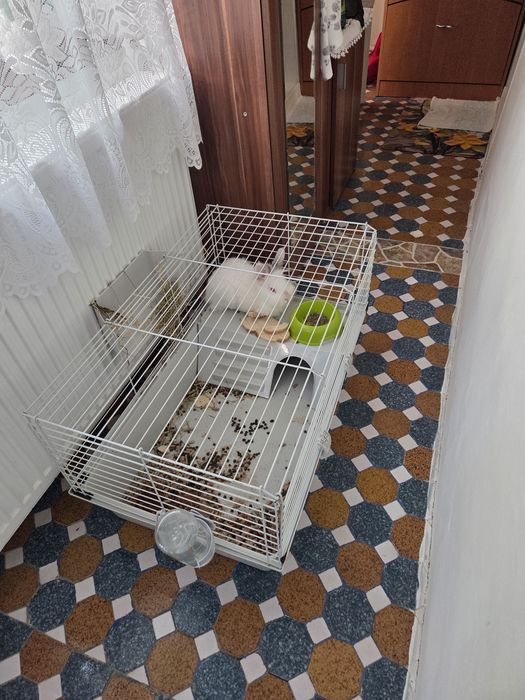 Cușcă iepure/răzătoare 80x50 cm