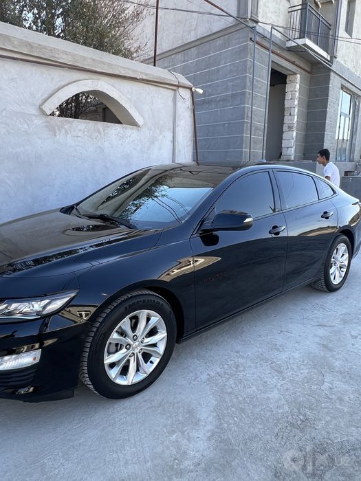 MALIBU XL tozza 100%