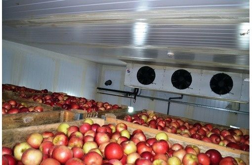 Холодильные склады под ключ