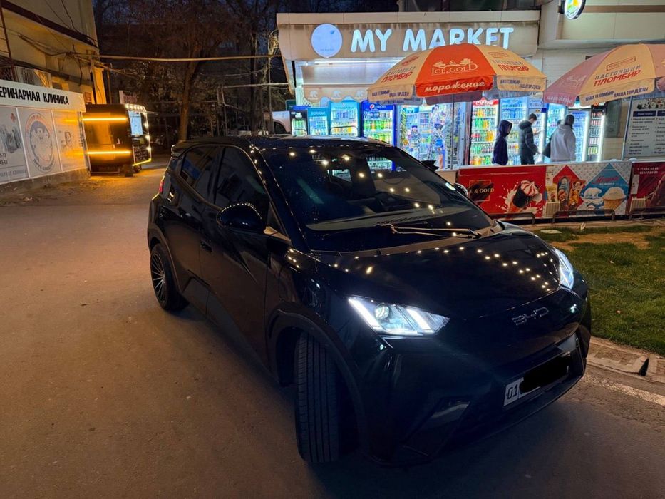 Byd seagull flying 100% тозза