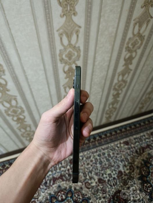 Iphone 13 pro max green