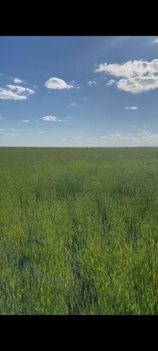 Продается кх/фх 400 га