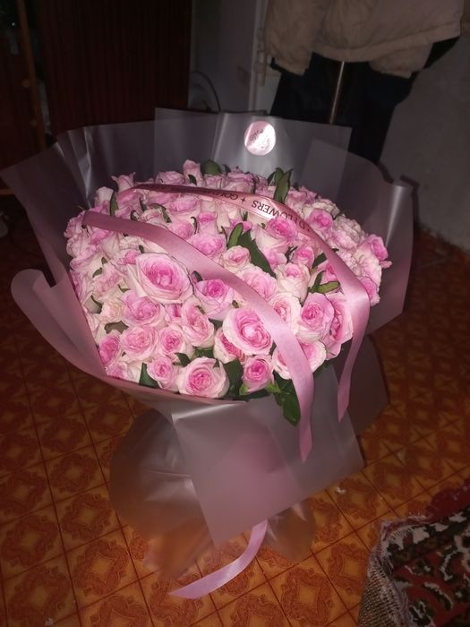 51 розы цветов розы