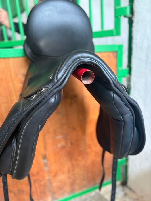 Sa dresaj Waldhausen 17.5