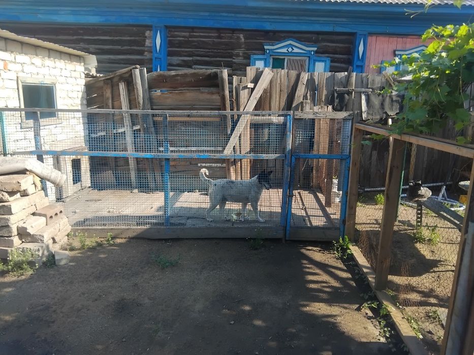 Продам       дом