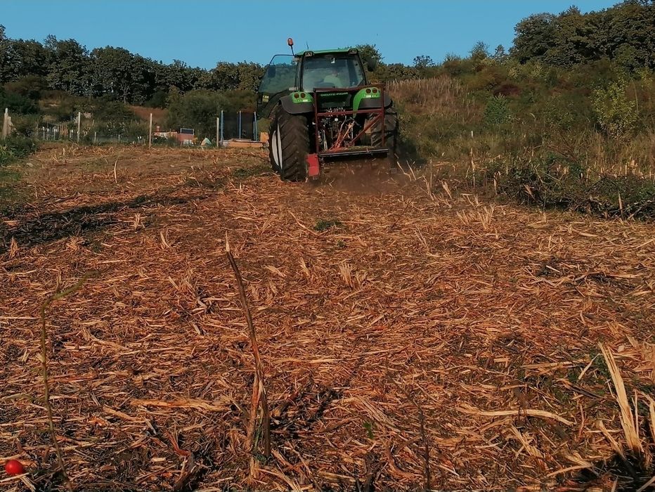 Curatare defrisare terenuri tocat spini