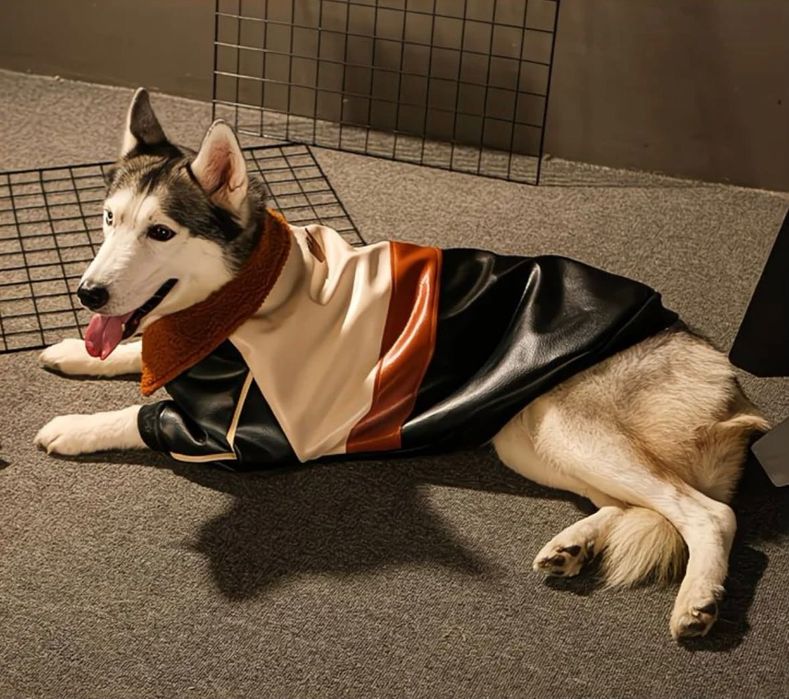 Бомбер для собак крупных пород. Утепленный