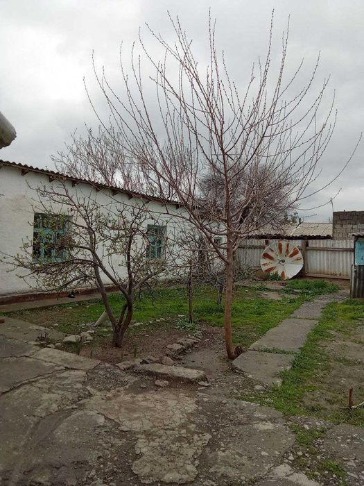 Дом с участком  в Булунгуре