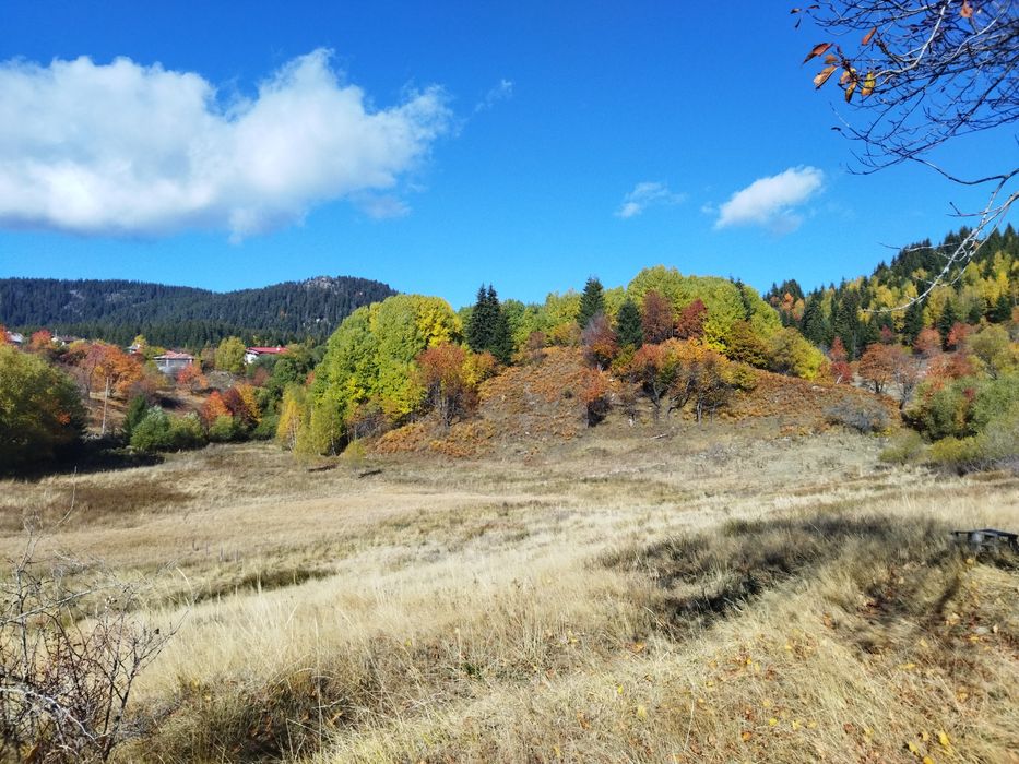 Продава се Парцел в Смолян, Езерово - 3136 кв.м за 35 €/кв.м - Снимка #1