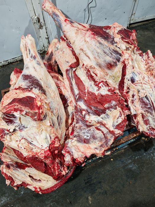 Мясо говядины говяжи