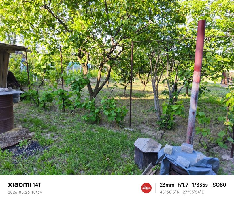 Teren de vânzare 1000  m², intravilan ,la stradă asfaltată cu căsuță de vacanță, în Mihail Kogălniceanu , com. Smârdan