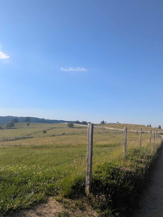 Vand Teren Intravilan in Maguri cu CF si CU