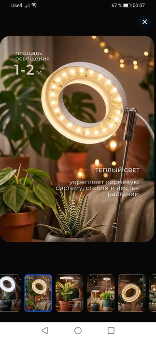 Фито лампа для растений