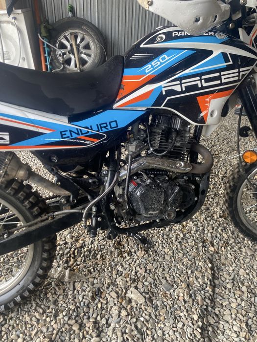 пантера рэсер 250