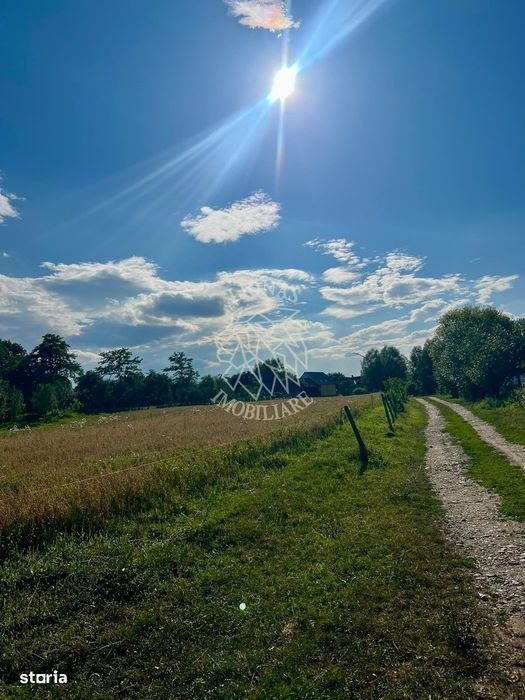 Teren intravilan 6800 mp cu utilitati-Parcelabil-Sieu 21km de Bistrita