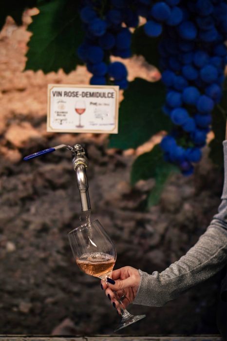 Vand firma partener CRAMELE RECAS