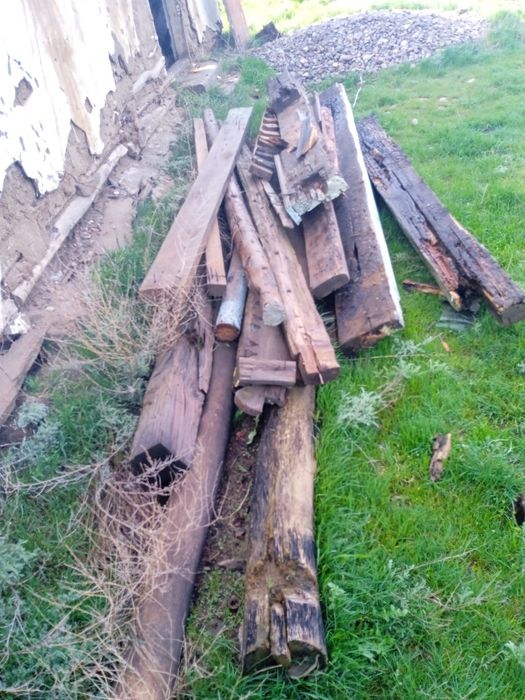 Сапалы жаксы каиында бар