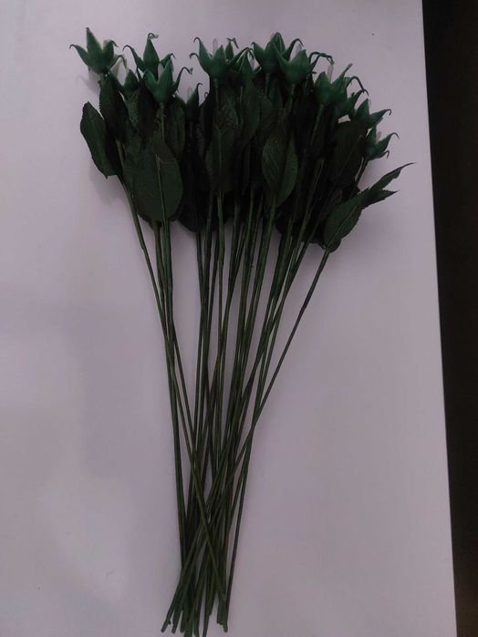 Продам стебли тюльпанов и роз