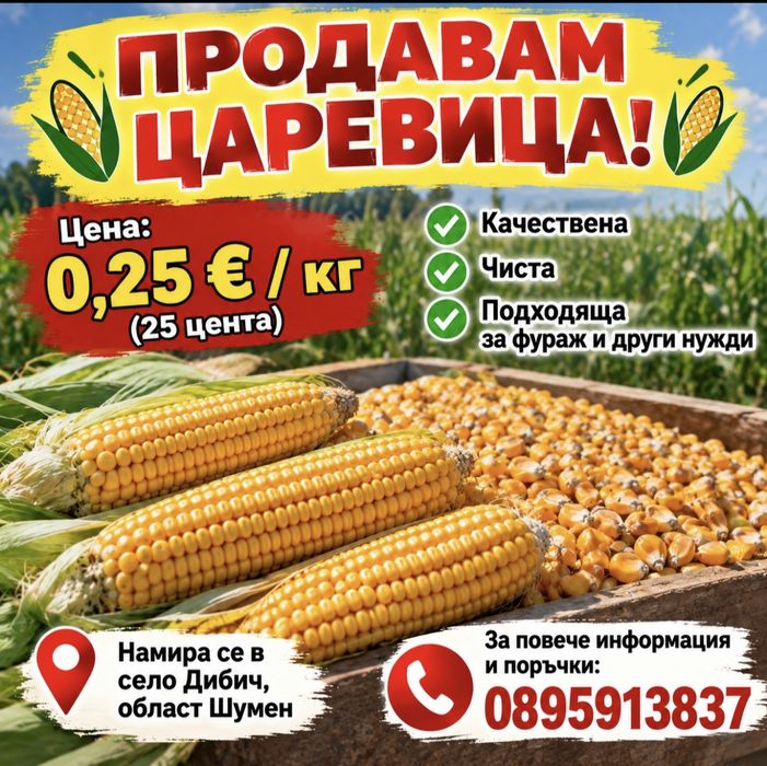 Царевица 2026 година