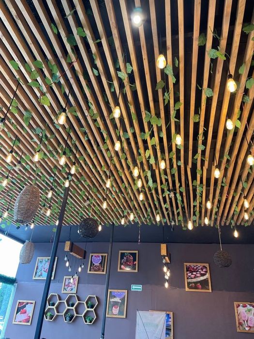 Grilyato armstrong  грильято армстронг amstrong patalok reyka 4