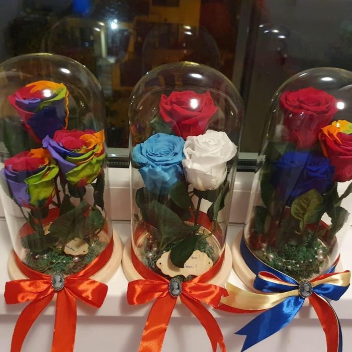 Cadou criogenat in cupola de sticla