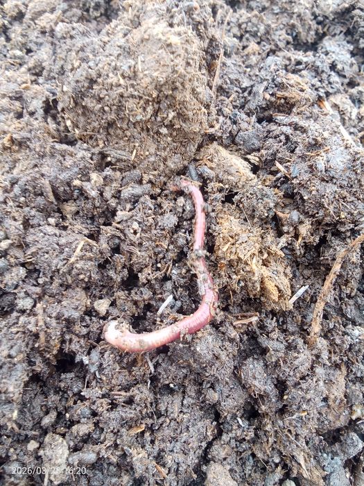 Навоз сатылады 700тг