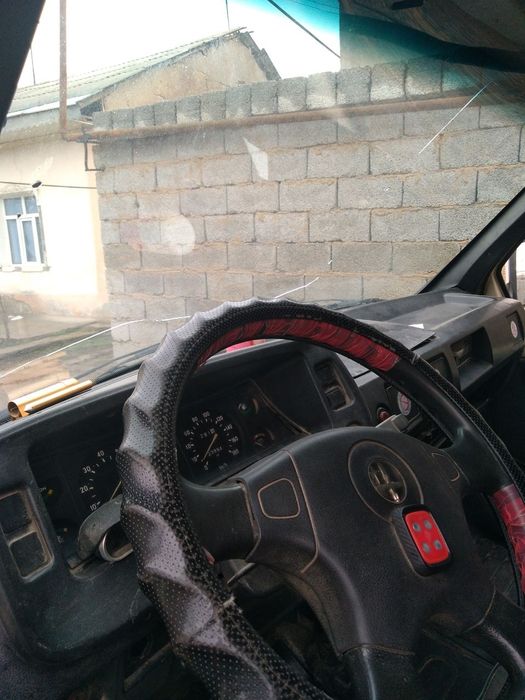 Gazel газель gazelle