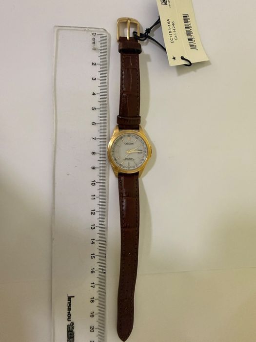 ceas citizen (CTG)