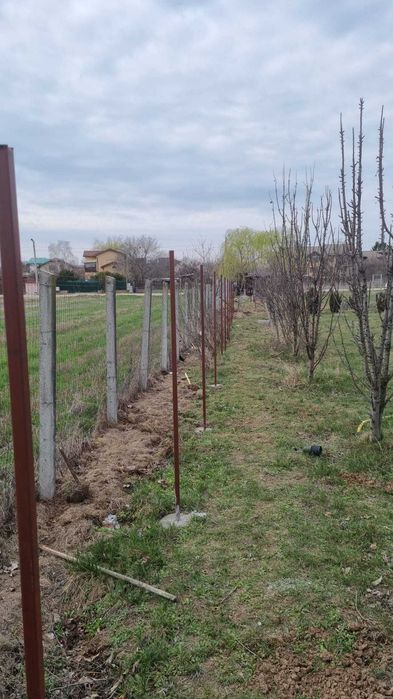 Teren Ciorogarla Magnoliei/Lacului 1672 mp 130.000 Euro