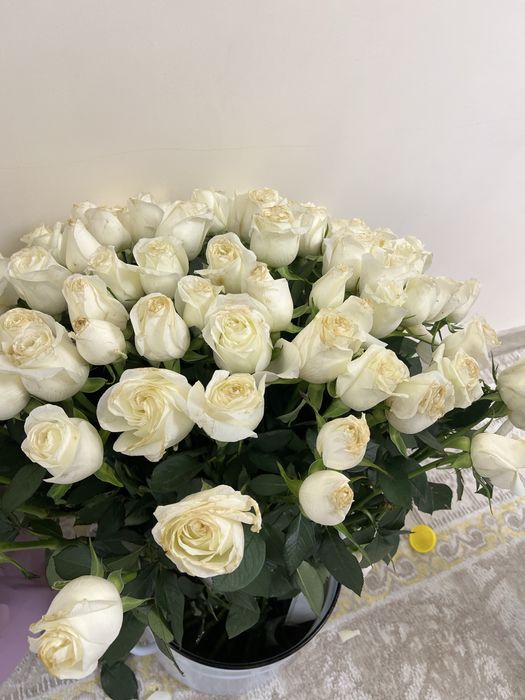 101 галански ақ роза сатамын