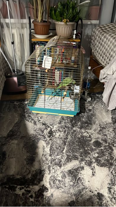 Клетка для попугая