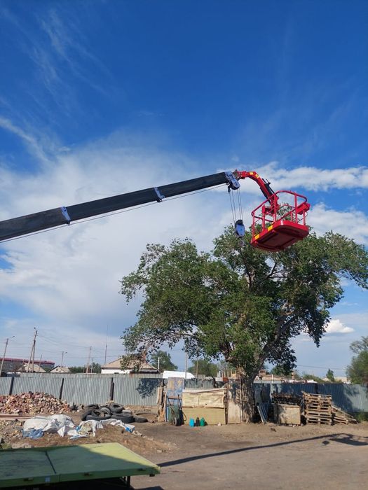 Услуги манипулятор