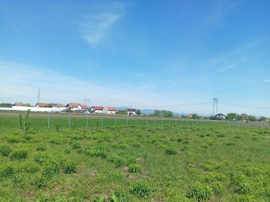 Teren intravilan, Stupini, Baciului,îngrădit. - Vedere 5