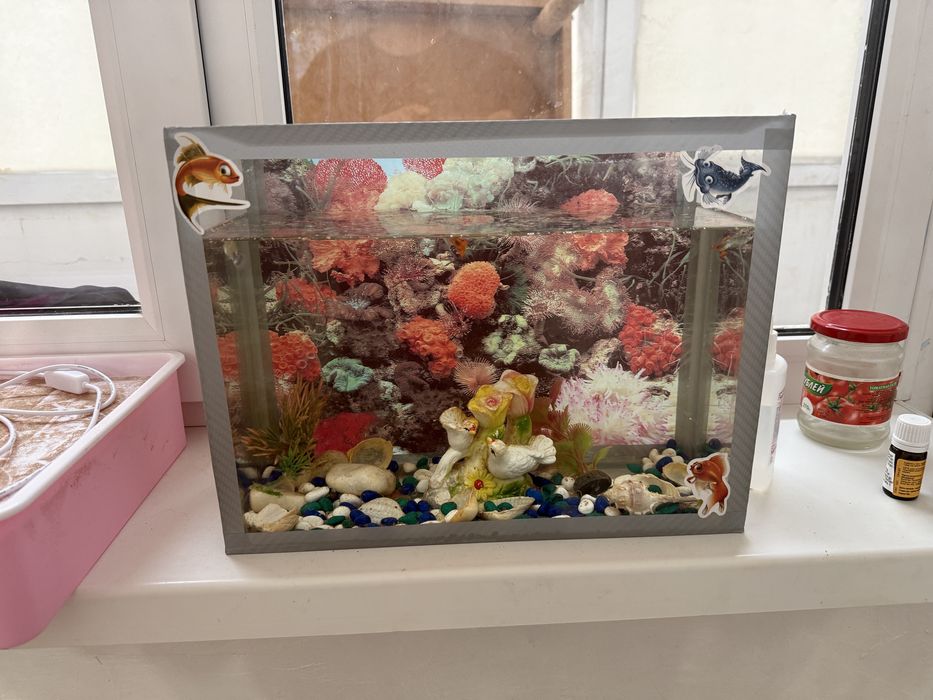 Аквариум с рыбками