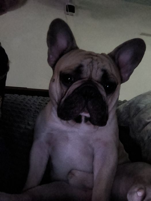 Макс ищет невесту