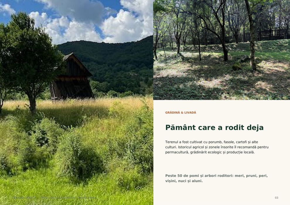 1,76 ha intravilan cu pârâu de munte și 3 cabane – Via Transilvanica, Mureș