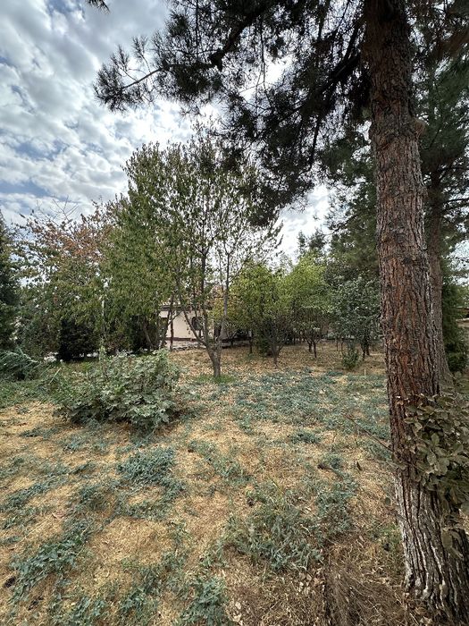 Продам дачу (6 соток земля)