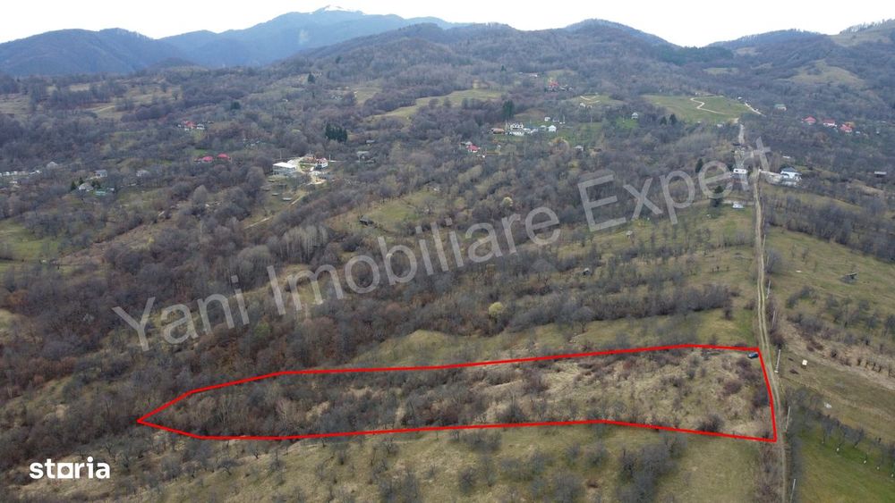 Teren de vânzare în comuna Nucșoara, județ Argeș.
