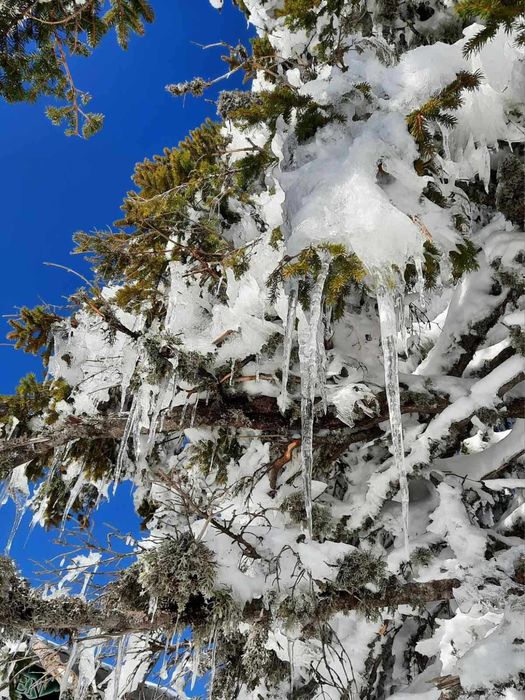 Продава се Парцел в с. Зорница, Област Смолян - 430 кв.м за 20 €/кв.м - Снимка #2