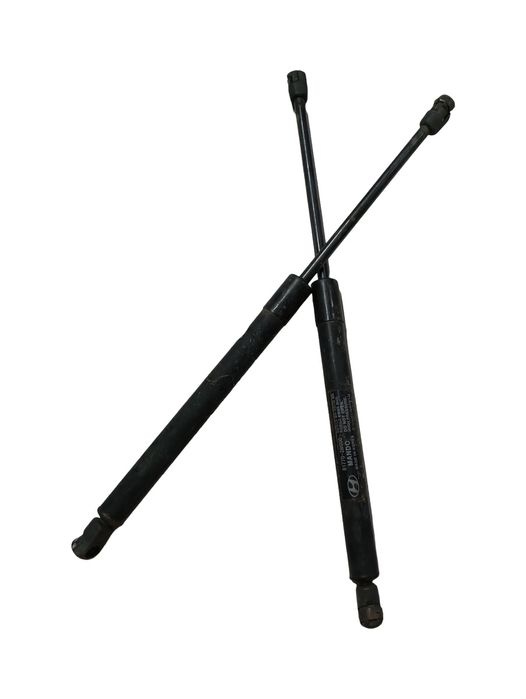 Amortizor Hayon Hyundai Santa Fe I Sm 2000 - 2006 817702B000