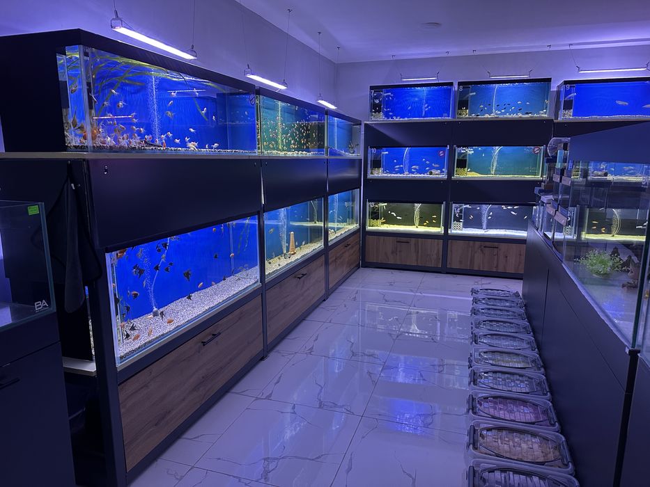 Zoomagazin Bek Aquarium