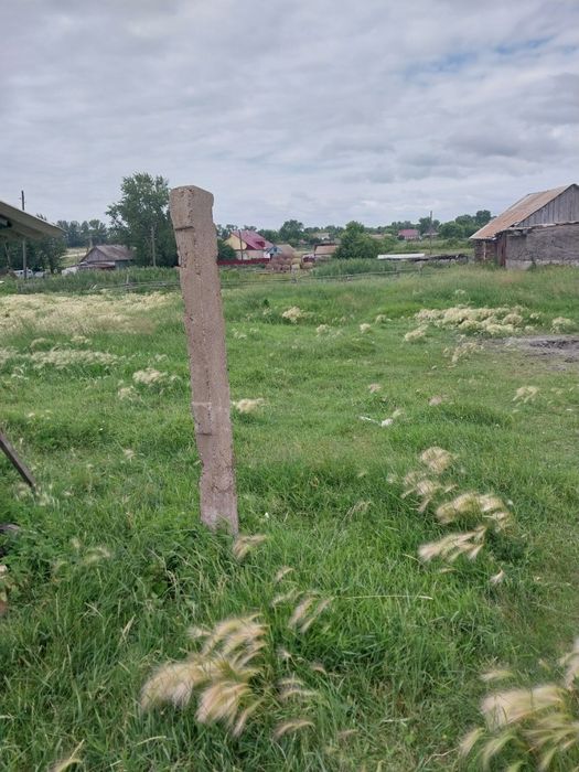 Земля в аренду  под теплицу