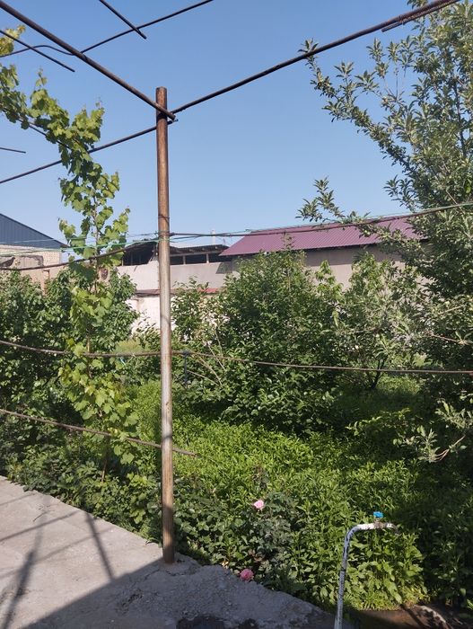 Xovli sotiladi yer narxida