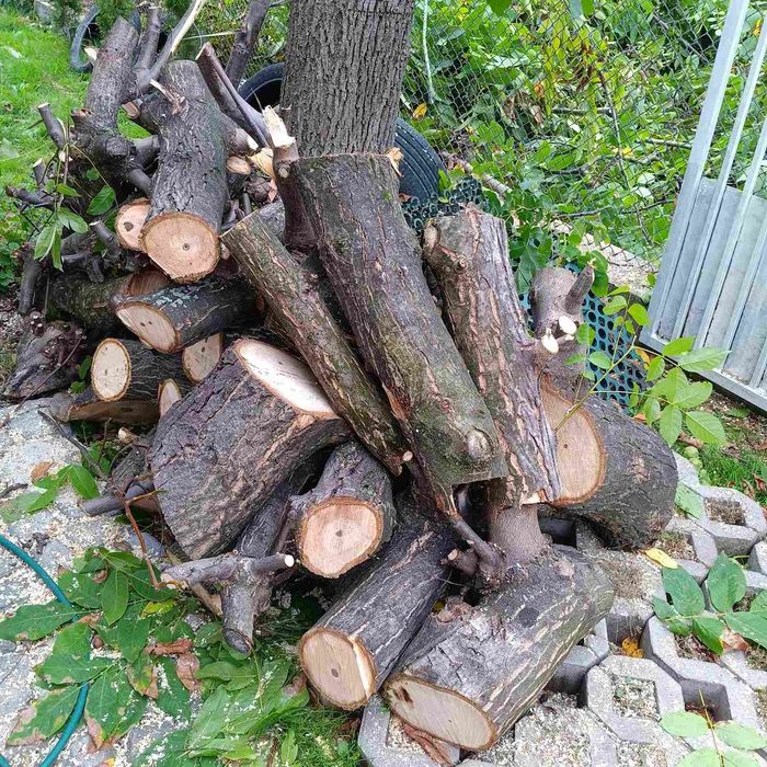 Продавам орехови дънери