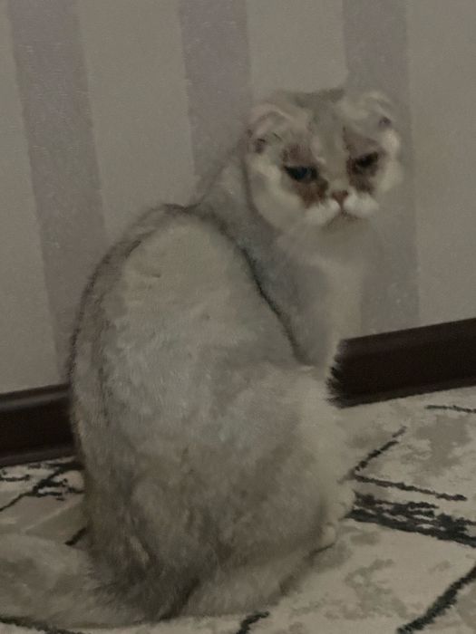 Savob uchun davolab qaraydigan insonlar bormi shundoq beraman