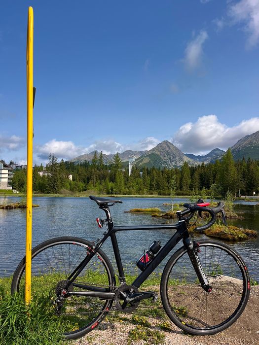 Cursiera carbon Ultegra 7.8kg 52cm